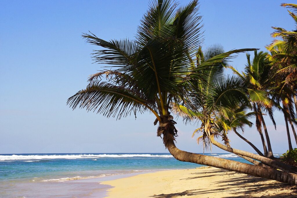 Strand in Punta Cana - (c) DEZALB / pixabay.com