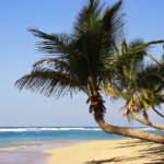 Urlaub unter der Sonne in Punta Cana